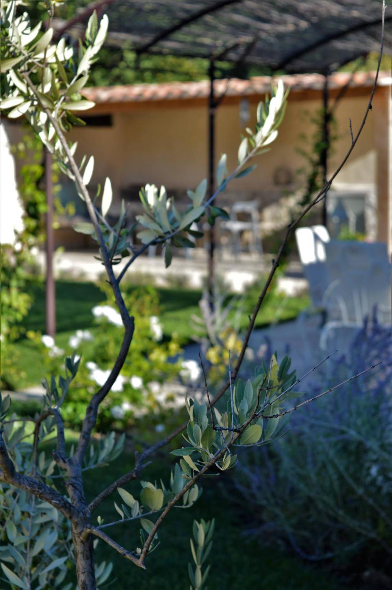 Le Chat Sur Le Toit Bed and Breakfast Lourmarin Buitenkant foto